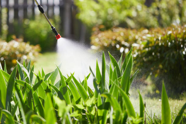 Tamper-Resistant Bait Stations for Rodents in Middlebranch