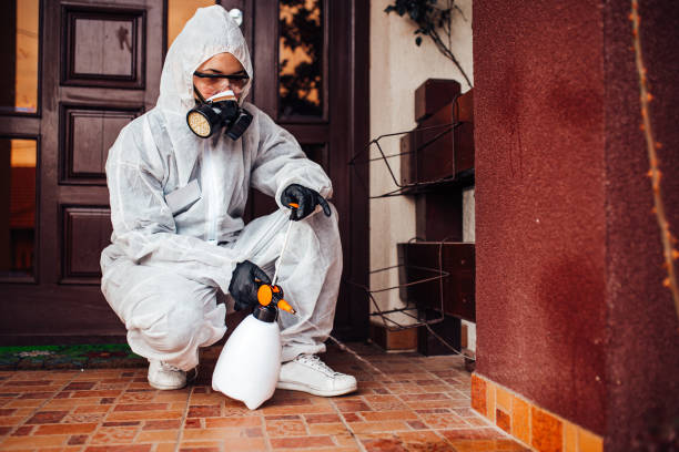 Attic and Crawl Space Rodent Treatment in Middlebranch