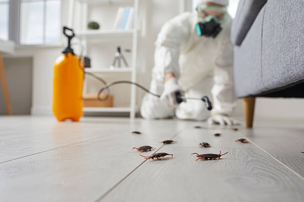 Commercial Rodent Management in Middlebranch